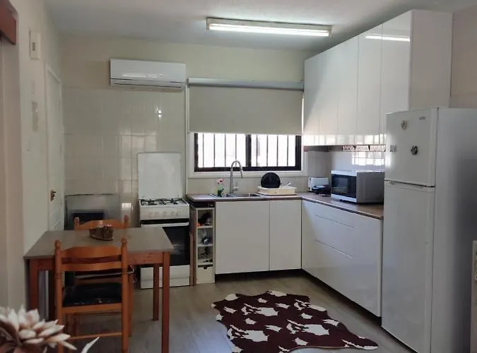 Vicky パラリムニ